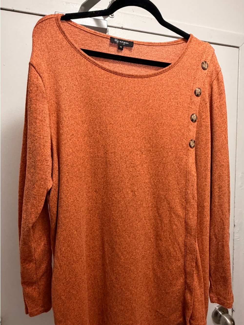 Ally & Joe Women's Long Sleeve Button-Accent Top - Rust